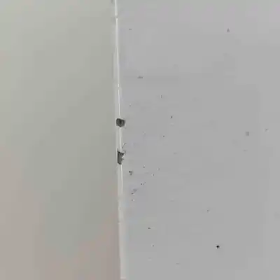 Pezzo di ricambio per auto di seconda mano porta anteriore destra per ford transit connect (2013-..) commercial riferimenti oem iam pkt1b-v20124-bc  