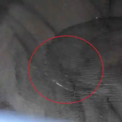 Pezzo di ricambio per auto di seconda mano display multifunzione per tesla model 3 (2018-..) riferimenti oem iam 1105487-00-f  