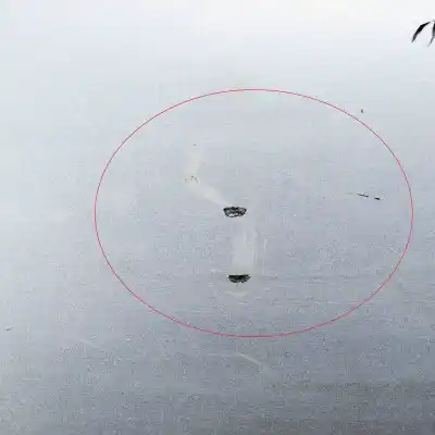 Автозапчасти б/у левая передняя дверь за audi a6 4f2, c6 (2004-2011) ссылки oem iam 4f0831051f  