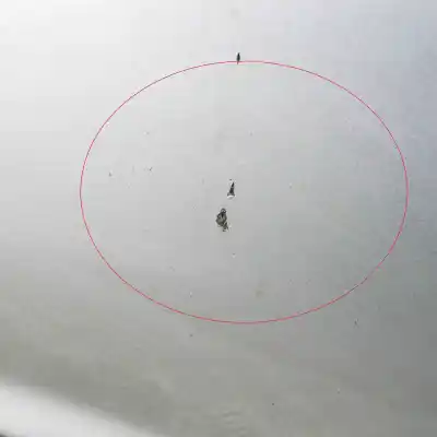 Автозапчасти б/у левая передняя дверь за audi a6 4f2, c6 (2004-2011) ссылки oem iam 4f0831051f  