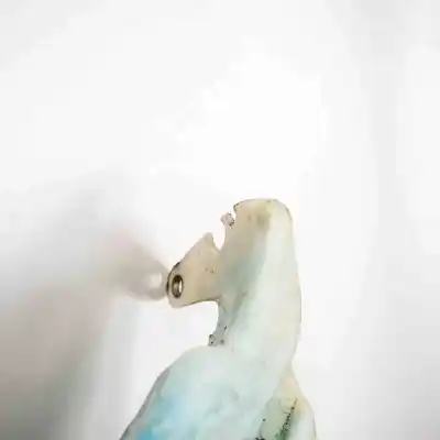 Peça sobressalente para automóvel em segunda mão depósito do limpa vidros por audi a5 cabrio 8f7 (2009-2016) referências oem iam 8t0955453b  