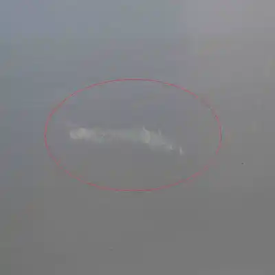 Second-hand car spare part front right door for ford s-max wa6 (2006-2014) oem iam references 1572631  