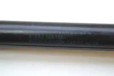 Peça sobressalente para automóvel em segunda mão amortecedor do capô por bmw 3 cabrio e93 (2006-2013) referências oem iam 51237129190  