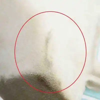 Pezzo di ricambio per auto di seconda mano modanatura per tesla model s (2012-..) riferimenti oem iam 012-40124-000a  