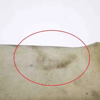 Pezzo di ricambio per auto di seconda mano modanatura per tesla model s (2012-..) hatchback riferimenti oem iam 1021613-00-a  