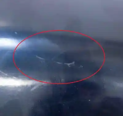 Автозапчастина б/у ліве дзеркало для audi a5 8t3 (2007-2016) посилання на oem iam e1020931  