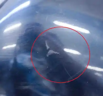 Автозапчастина б/у ліве дзеркало для audi a5 8t3 (2007-2016) посилання на oem iam e1020931  