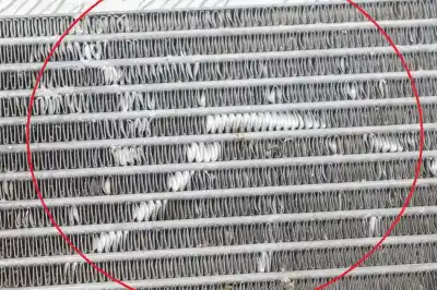 Pezzo di ricambio per auto di seconda mano radiatore a cambio per audi q7 4l (2006-2015) riferimenti oem iam 7l0317021,7l0317019d,f0049005  
