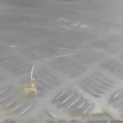 Second-hand car spare part left front door for audi a8 d2 4d2, 4d8 (1994-2002) oem iam references 4d0831051a  