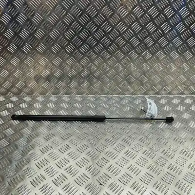 Автозапчасти б/у амортизатор капота за FORD PUMA J2K, CF7 (2019-..) Hatchback ссылки OEM IAM L1TB-S406A10-AC  