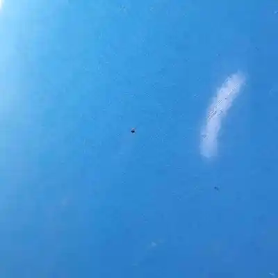 Gebrauchtes Autoersatzteil ordere rechte tür zum ford puma j2k, cf7 (2019-..) hatchback oem-iam-referenzen pl1tb-s20124-aa  