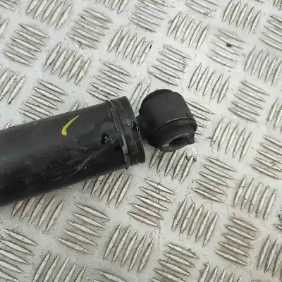 Pezzo di ricambio per auto di seconda mano ammortizzatore posteriore sinistro per citroen jumpy iii van (2018-..) commercial riferimenti oem iam 9816510580  