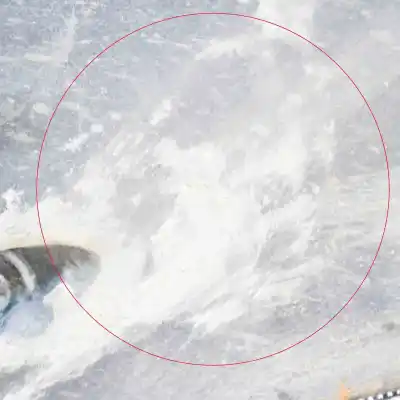 Peça sobressalente para automóvel em segunda mão cobertura / proteção do motor por jaguar e-pace x540 (2017-..) hatchback referências oem iam j9c3-104c21-ad  