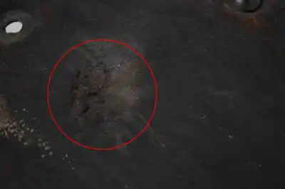 Peça sobressalente para automóvel em segunda mão cobertura / proteção do motor por jaguar e-pace x540 (2017-..) hatchback referências oem iam   