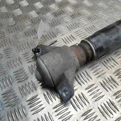 Автозапчастина б/у амортизатор задній лівий для audi a5 f53 (2016-..) coupe посилання на oem iam 8w6513035f,844904011675  