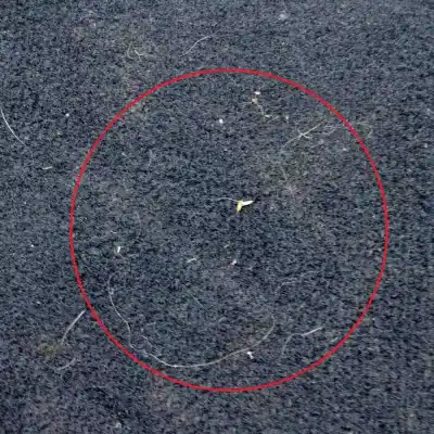 Peça sobressalente para automóvel em segunda mão jogo de tapetes por tesla model 3 (2018-..) sedan referências oem iam   