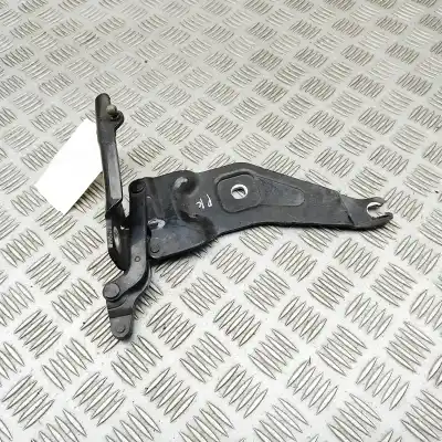 Piesă de schimb auto la mâna a doua balama capot față stânga pentru bmw x6 e71, e72 (2007-2014) referințe oem iam 7198617  