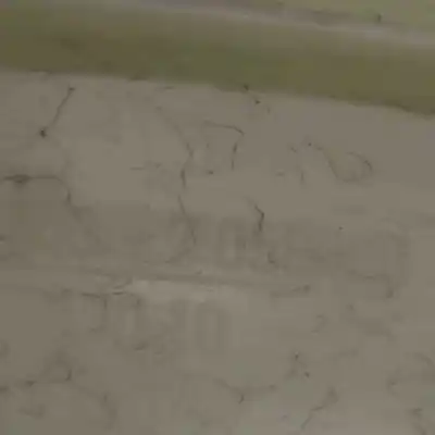 Автозапчасти б/у декоративная накладка передней левой стойки за bmw 3 touring e91 (2004-2012) ссылки oem iam 7058331  