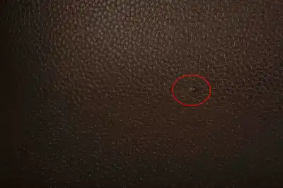 Pezzo di ricambio per auto di seconda mano rivestimento porte posteriore per mini cooper r56 (2005-2013) riferimenti oem iam 7148904  