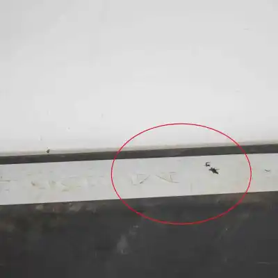 Pezzo di ricambio per auto di seconda mano Modanatura Interna Soglia Anteriore Destra per TESLA MODEL S (2012-..) Hatchback Riferimenti OEM IAM 1030394-00-D  