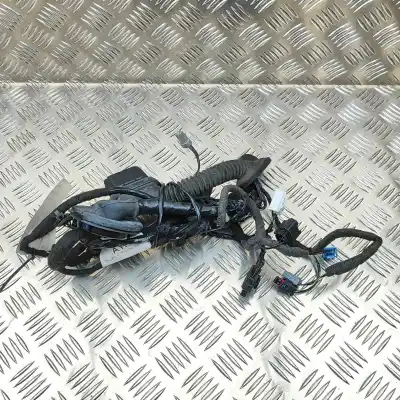 Peça sobressalente para automóvel em segunda mão Cabos Da Porta Traseira Direita por JAGUAR E-PACE X540 (2017-..) Hatchback Referências OEM IAM N9C3-14632-AYA  