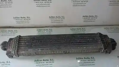 Pezzo di ricambio per auto di seconda mano Intercooler per FORD FOCUS BERLINA (CAP) Ambiente (D) Riferimenti OEM IAM 3M5H9L440AE  