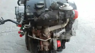 Pezzo di ricambio per auto di seconda mano motore completo per audi a2 (8z) 1.4 tdi (55kw) riferimenti oem iam amf  