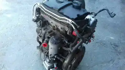Pezzo di ricambio per auto di seconda mano motore completo per audi a2 (8z) 1.4 tdi (55kw) riferimenti oem iam amf  