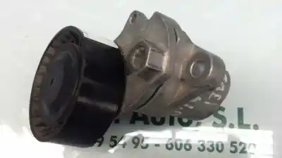 Pezzo di ricambio per auto di seconda mano tendicinghia ausiliaria per seat leon (5f1) reference riferimenti oem iam jn804e f568222405 145299l