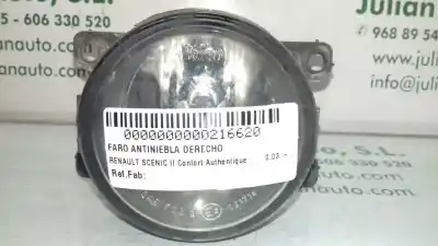 Tweedehands auto-onderdeel Rechter Mistlamp voor RENAULT SCENIC II Confort Authentique OEM IAM-referenties   