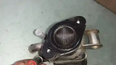 Автозапчасти б/у охладитель рог за ford ecosport (cr6) st-line black edition ссылки oem iam jn1q9f464aa  m7pna136181