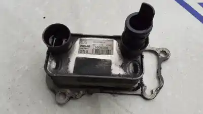 Peça sobressalente para automóvel em segunda mão Radiador De óleo por BMW SERIE 1 BERLINA (E81/E87) 118d Referências OEM IAM 7031036904  L1609004
