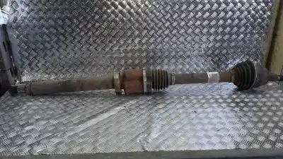 Recambio de automóvil de segunda mano de TRANSMISION DELANTERA DERECHA para FORD FOCUS LIM. (CB8)  referencias OEM IAM AV613B436CD  