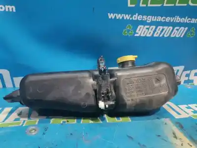 Piesă de schimb auto la mâna a doua VAS REZERVOR LICHID PARBRIZ pentru DACIA DUSTER II  Referințe OEM IAM 289107187R  