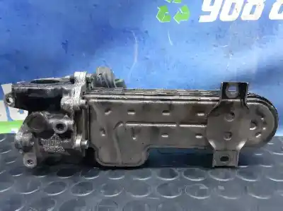 Peça sobressalente para automóvel em segunda mão radiador de gases de escape (egr) por seat leon (1p1) 2.0 tdi 16v referências oem iam 030131513j