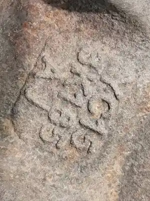 Peça sobressalente para automóvel em segunda mão manga de eixo dianteira esquerda por ford transit mod. 2000 combi ft 260 2.0 corto referências oem iam yc153k185aj  