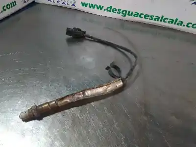 Peça sobressalente para automóvel em segunda mão SONDA LAMBDA por FORD FOCUS LIM. (CB4)  Referências OEM IAM 0258007239  