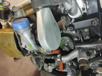 Pezzo di ricambio per auto di seconda mano motore completo per tata safari b4x4 riferimenti oem iam 483dltc55  