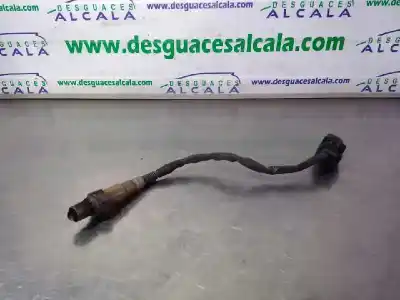 İkinci el araba yedek parçası LAMBDA PROBU için BMW SERIE 3 TOURING (E91)  OEM IAM referansları 779160001  779160001