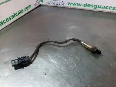 Peça sobressalente para automóvel em segunda mão sonda lambda por bmw serie 3 berlina (e90) 320d referências oem iam 0281004079