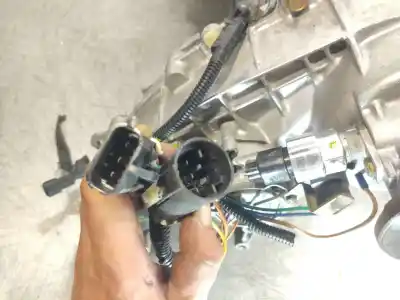 Second-hand car spare part gearbox for ssangyong rexton 2.9 turbodiesel cat oem iam references   