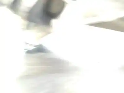 Pezzo di ricambio per auto di seconda mano riduttore per citroen c4 lim. collection riferimenti oem iam 20ea23 2231e5 pilotada