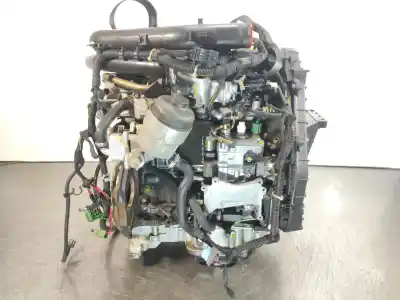 Gebrauchtes Autoersatzteil kompletter motor zum opel astra g berlina 1.7 16v dti cat (y 17 dt / lr6) oem-iam-referenzen y17dt  diesel