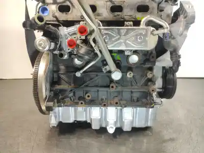 Pezzo di ricambio per auto di seconda mano motore completo per audi a3 (8p) 1.6 tdi ambiente riferimenti oem iam cay  diesel