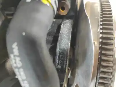 Pezzo di ricambio per auto di seconda mano motore completo per audi a3 (8p) 1.6 tdi ambiente riferimenti oem iam cay  diesel