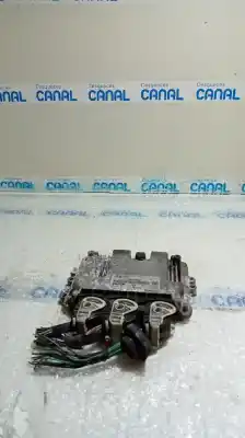 Peça sobressalente para automóvel em segunda mão centralina de motor uce por ford focus berlina (cap) ambiente (d) referências oem iam 6m5112a650na  