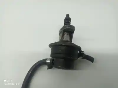 Pezzo di ricambio per auto di seconda mano Pompa Sterzo per VOLKSWAGEN PASSAT BERLINA (3B2) Comfortline Riferimenti OEM IAM 038145255  