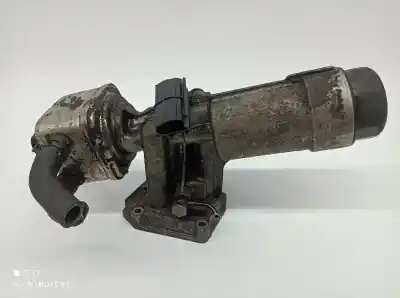 Peça sobressalente para automóvel em segunda mão Radiador De óleo Do Motor por SEAT LEON (1M1) 1.6 Referências OEM IAM 038115389C  