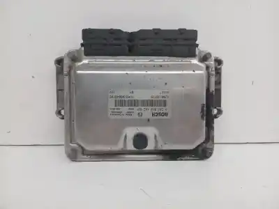 İkinci el araba yedek parçası  için RENAULT MEGANE I SCENIC (JA0)  OEM IAM referansları 0281010442  