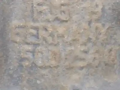 Автозапчасти б/у передняя правая кулачка за volkswagen golf vii variant (ba5, bv5) 1.6 tdi ссылки oem iam 5q02560  